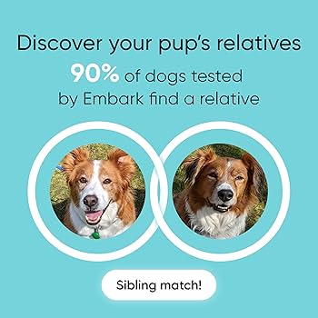 Amazon.co.jp: Embark Dog DNA テストキット | 繁殖&遺伝的祖先